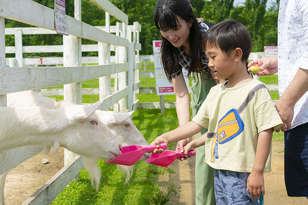 自然と動物にふれあえる!