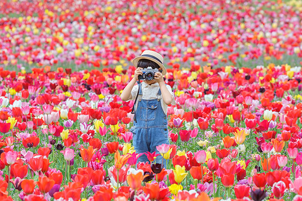 1年中花に囲まれ癒される!